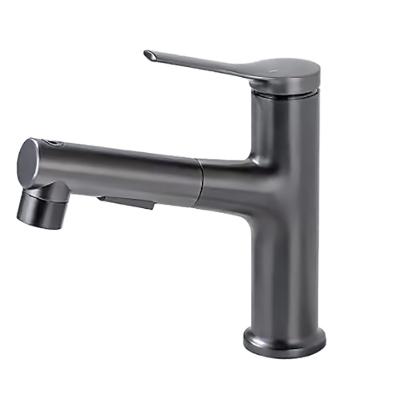 抽拉龙头 WB22009C